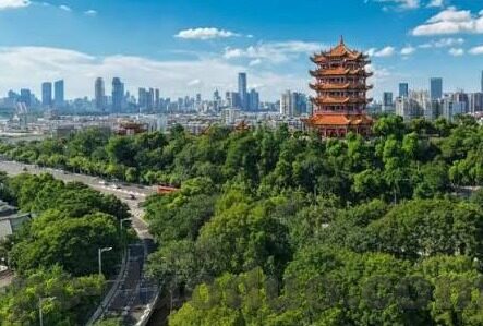 苹果app抢庄牛牛-苹果App抢庄牛牛，一场数字娱乐的革新